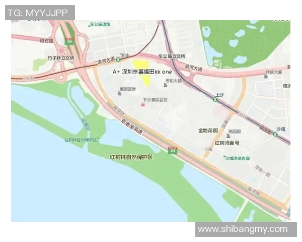 深入解析上海乒乓球队实力对比与发展潜力的全景观察