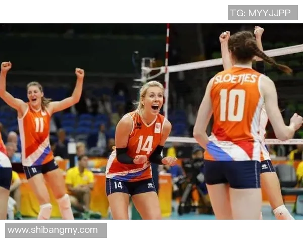 武汉排球队在欧锦赛中的意识表现分析与点评