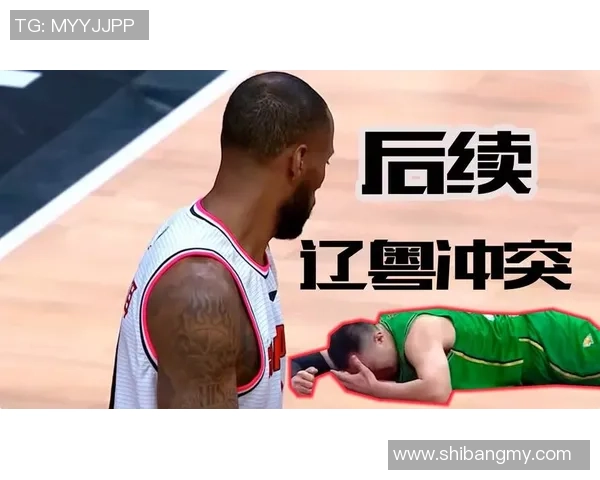 武汉排球队比赛经验引发热议球迷与专家观点交锋解析