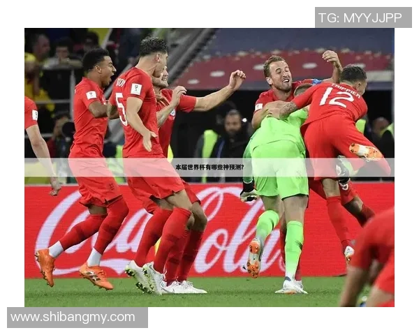 武汉羽毛球队在世界杯中的技术表现分析与亮点总结